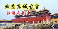 啊嗯哦好爽日麻逼中国北京-东城古宫旅游风景区